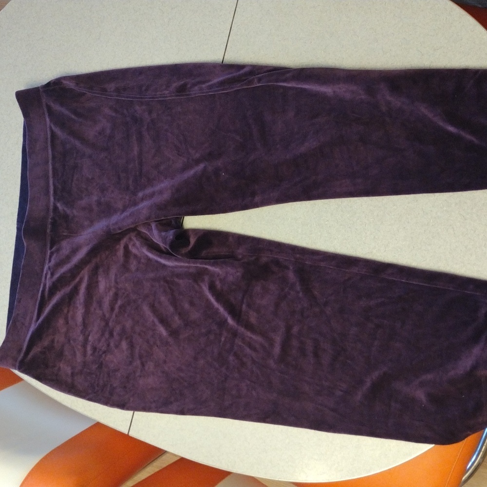 Talbots 3x Petite Purple Velour Like Pants